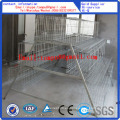 Egg Layer Chicken Cage / Chicken Cage